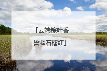 云端粽叶香 鲁疆石榴红