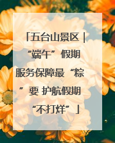 五台山景区｜“端午”假期 服务保障最“粽”要 护航假期“不打烊”