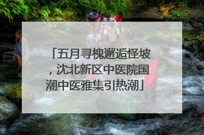 五月寻槐邂逅怪坡，沈北新区中医院国潮中医雅集引热潮