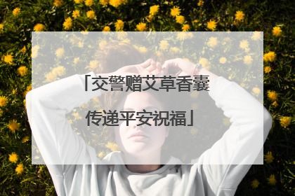 交警赠艾草香囊 传递平安祝福