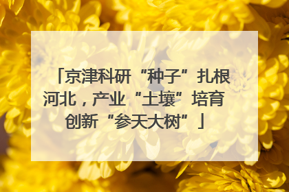 京津科研“种子”扎根河北，产业“土壤”培育创新“参天大树”