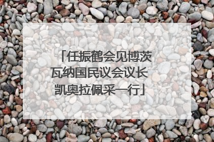 任振鹤会见博茨瓦纳国民议会议长凯奥拉佩采一行