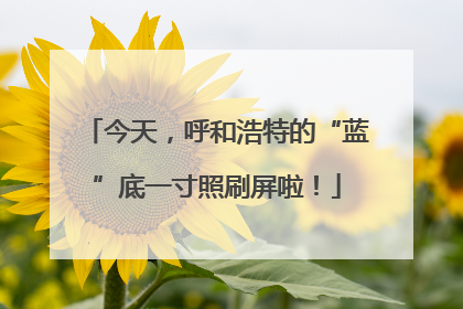 今天，呼和浩特的“蓝”底一寸照刷屏啦！