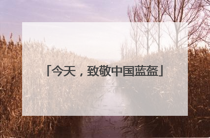 今天，致敬中国蓝盔