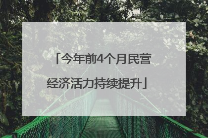 今年前4个月民营经济活力持续提升