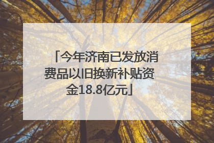 今年济南已发放消费品以旧换新补贴资金18.8亿元