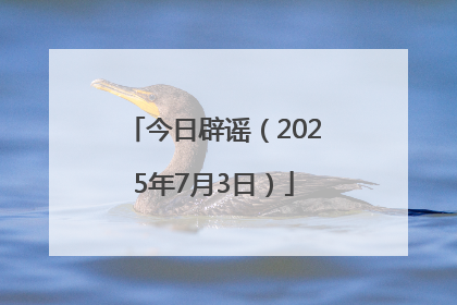 今日辟谣（2025年7月3日）