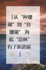 从“种珊瑚”到“育珊瑚” 海底“造林”有了新进展