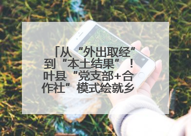 从“外出取经”到“本土结果”！叶县“党支部+合作社”模式绘就乡村振兴新图景