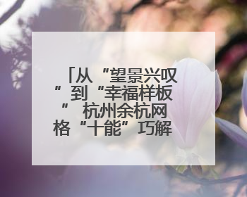 从“望景兴叹”到“幸福样板” 杭州余杭网格“十能”巧解治理难题