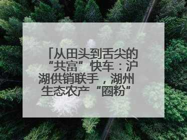 从田头到舌尖的“共富”快车：沪湖供销联手，湖州生态农产“圈粉”大上海