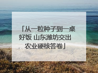 从一粒种子到一桌好饭 山东潍坊交出农业硬核答卷