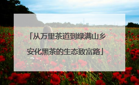 从万里茶道到绿满山乡 安化黑茶的生态致富路