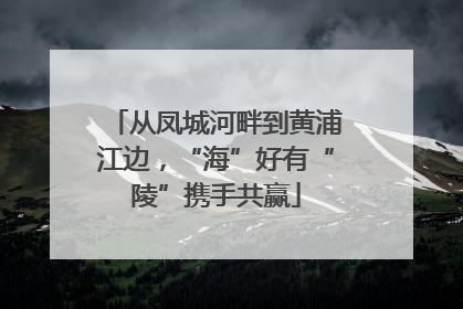 从凤城河畔到黄浦江边，“海”好有“陵”携手共赢