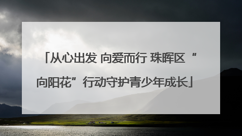 从心出发 向爱而行 珠晖区“向阳花”行动守护青少年成长