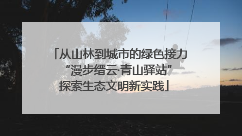 从山林到城市的绿色接力 “漫步缙云·青山驿站”探索生态文明新实践