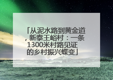从泥水路到黄金道，新泰王峪村：一条1300米村路见证的乡村振兴蝶变