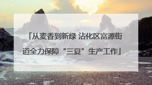 从麦香到新绿 沾化区富源街道全力保障“三夏”生产工作