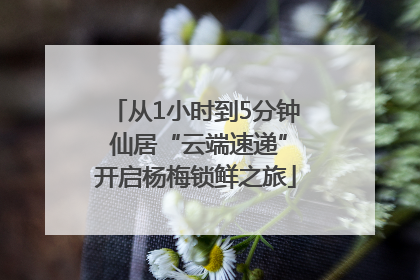 从1小时到5分钟 仙居“云端速递”开启杨梅锁鲜之旅