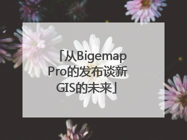 从Bigemap Pro的发布谈新GIS的未来