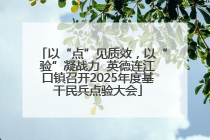 以“点”见质效，以“验”凝战力  英德连江口镇召开2025年度基干民兵点验大会