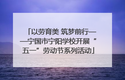 以劳育美 筑梦前行——宁国市宁阳学校开展“五一”劳动节系列活动
