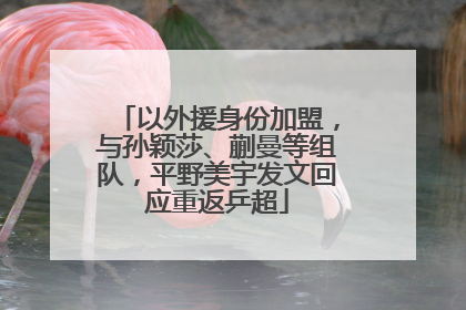 以外援身份加盟，与孙颖莎、蒯曼等组队，平野美宇发文回应重返乒超