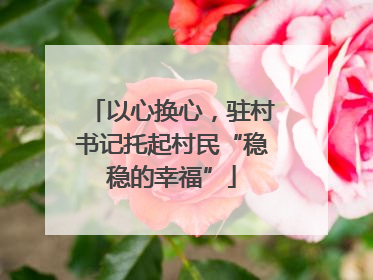 以心换心，驻村书记托起村民“稳稳的幸福”