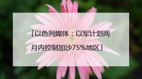 以色列媒体：以军计划两月内控制加沙75%地区