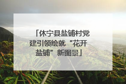 休宁县盐铺村党建引领绘就“花开盐铺”新图景
