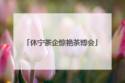 休宁茶企惊艳茶博会