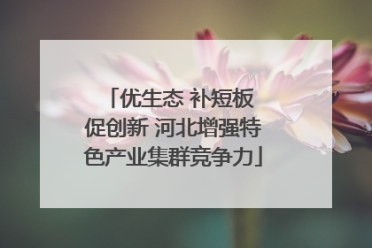 优生态 补短板 促创新 河北增强特色产业集群竞争力