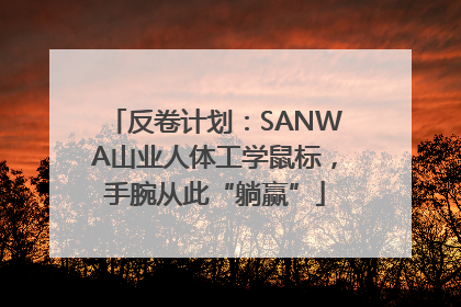 反卷计划：SANWA山业人体工学鼠标，手腕从此“躺赢”