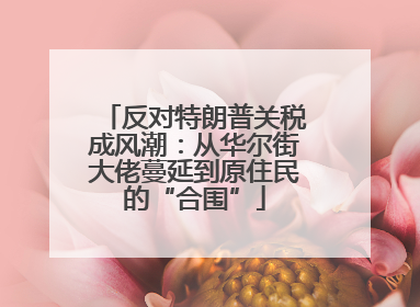 反对特朗普关税成风潮：从华尔街大佬蔓延到原住民的“合围”
