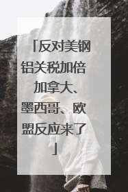 反对美钢铝关税加倍 加拿大、墨西哥、欧盟反应来了