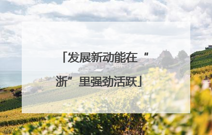 发展新动能在“浙”里强劲活跃