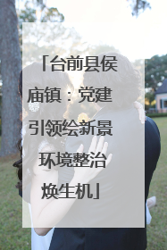 台前县侯庙镇：党建引领绘新景 环境整治焕生机