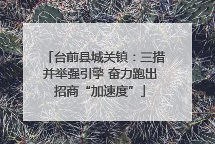 台前县城关镇：三措并举强引擎 奋力跑出招商“加速度”
