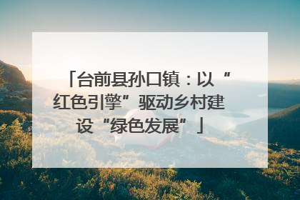 台前县孙口镇：以“红色引擎”驱动乡村建设“绿色发展”
