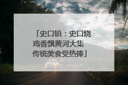 史口镇：史口烧鸡香飘黄河大集 传统美食受热捧