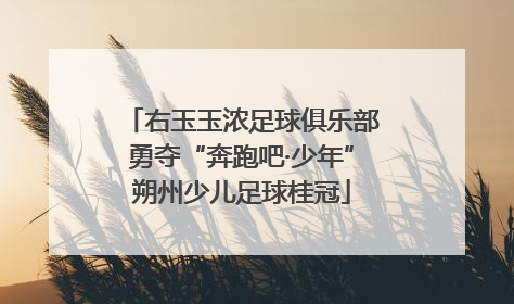 右玉玉浓足球俱乐部勇夺“奔跑吧·少年”朔州少儿足球桂冠