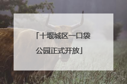 十堰城区一口袋公园正式开放