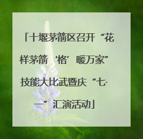 十堰茅箭区召开“花样茅箭‘格’暖万家”技能大比武暨庆“七·一”汇演活动