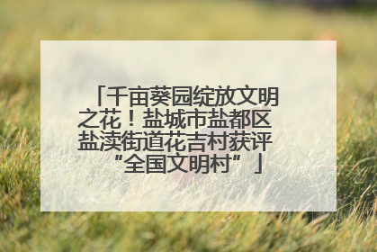 千亩葵园绽放文明之花！盐城市盐都区盐渎街道花吉村获评“全国文明村”