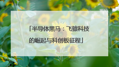 半导体黑马：飞骧科技的崛起与科创板征程