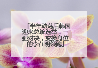 半年动荡后韩国迎来总统选举：三强对决，变换身位的李在明领跑