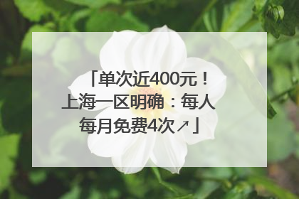 单次近400元！上海一区明确：每人每月免费4次↗