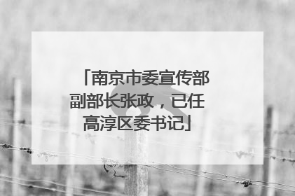 南京市委宣传部副部长张政，已任高淳区委书记