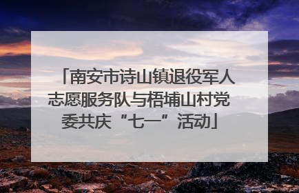 南安市诗山镇退役军人志愿服务队与梧埔山村党委共庆“七一”活动