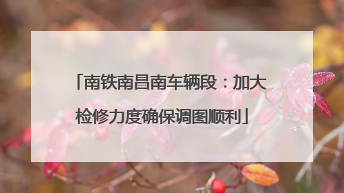 南铁南昌南车辆段：加大检修力度确保调图顺利